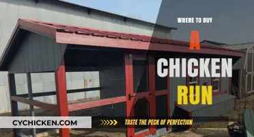 Best Places to Purchase a Chicken Run for Your Flock