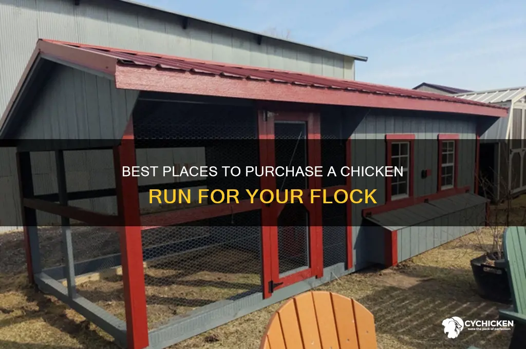 where to buy a chicken run