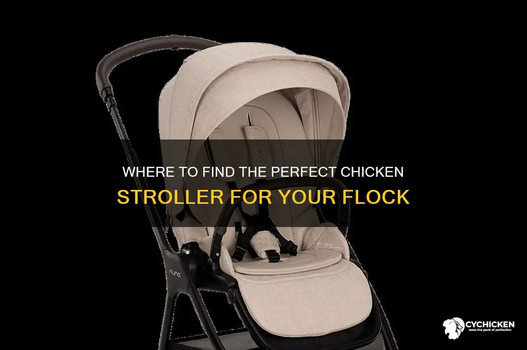 where to buy a chicken stroller