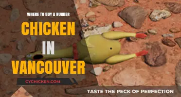 Vancouver's Best Spots to Purchase a Rubber Chicken