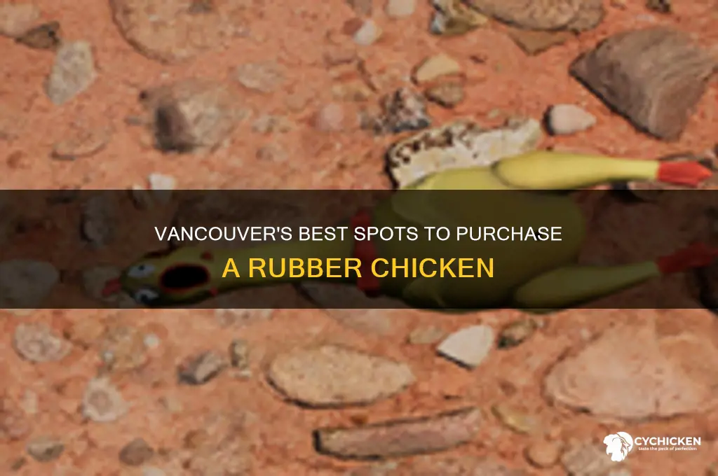 where to buy a rubber chicken in vancouver