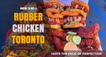 Where to Find and Buy a Rubber Chicken in Toronto