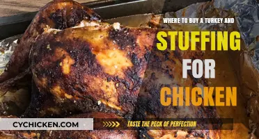 Best Places to Buy Turkey and Chicken Stuffing for Your Feast