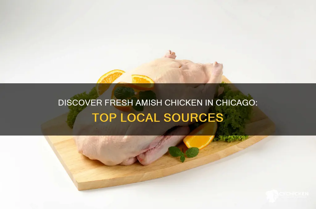 where to buy amish chicken chicago