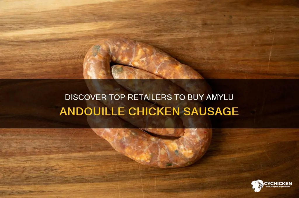 where to buy amylu andouille chicken sausage