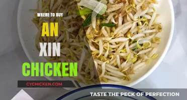 Discover the Best Places to Buy Authentic An Xin Chicken