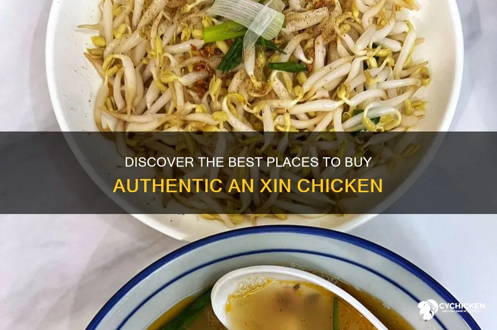where to buy an xin chicken