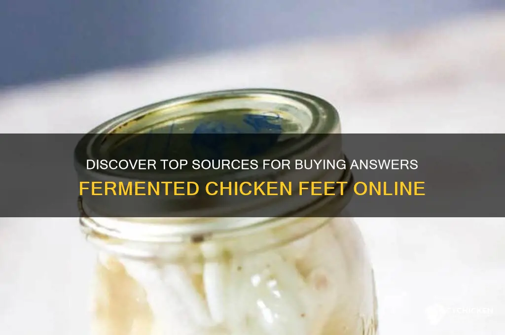 where to buy answers fermented chicken feet