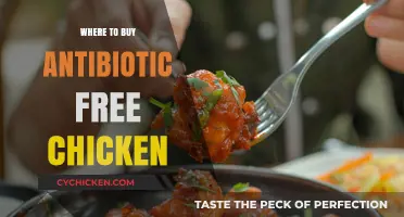 Discover Top Sources for Antibiotic-Free Chicken Near You