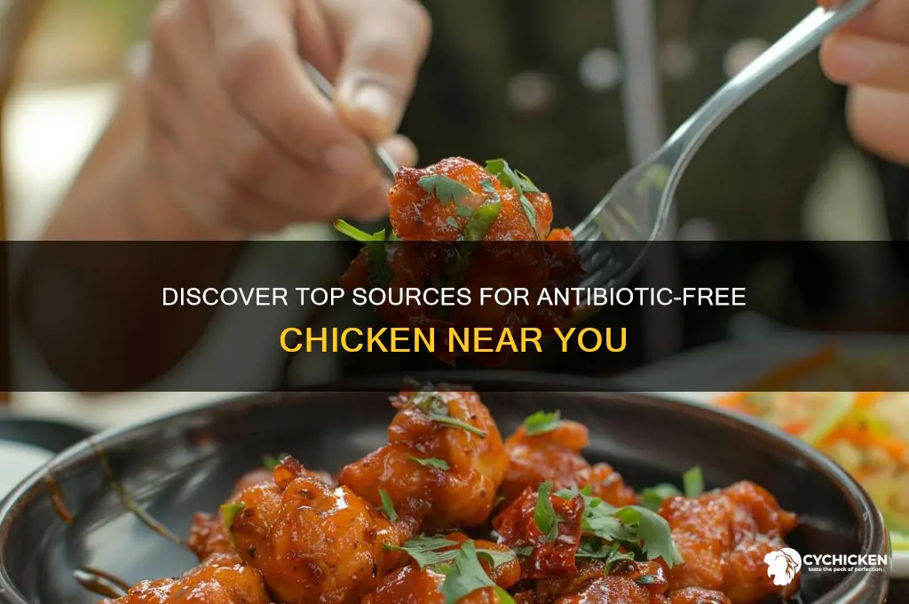 where to buy antibiotic free chicken
