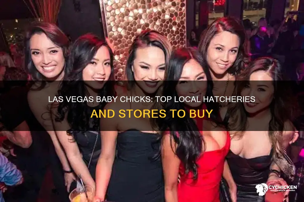 where to buy baby chicks in las vegas