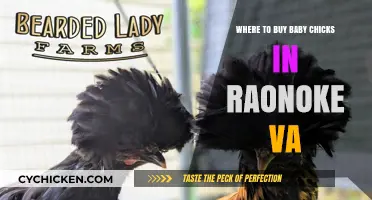 Best Places to Buy Baby Chicks in Roanoke, VA