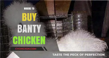Discover the Best Places to Buy Banty Chickens Today