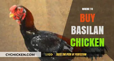 Discover the Best Places to Buy Authentic Basilan Chicken