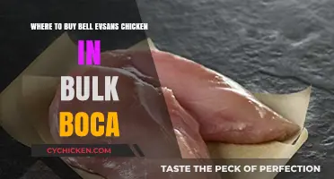 Bulk Bell Evans Chicken in Boca Raton: Top Purchasing Options