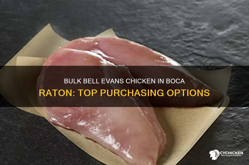 where to buy bell evsans chicken in bulk boca