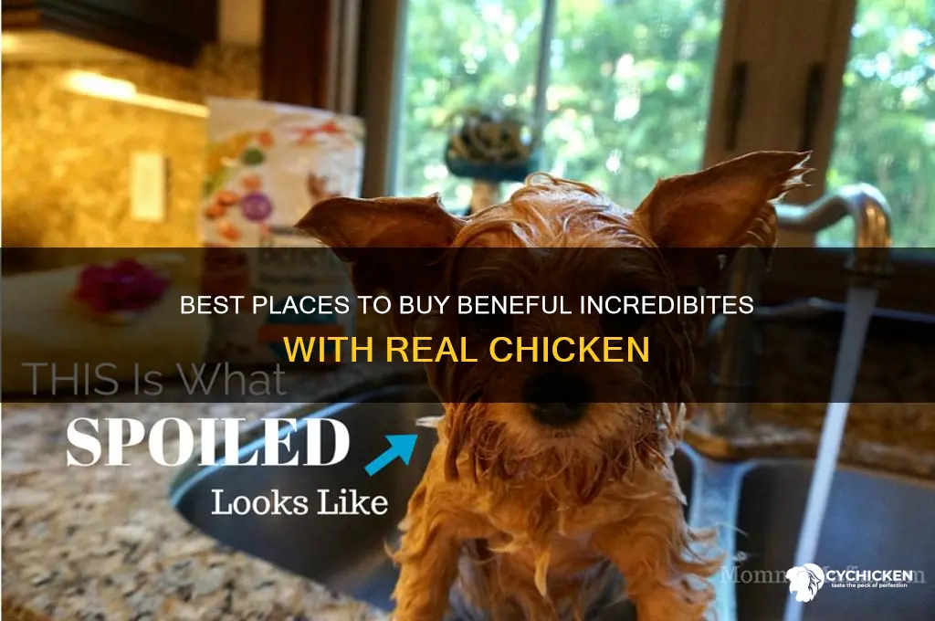 where to buy beneful incredibites with real chicken