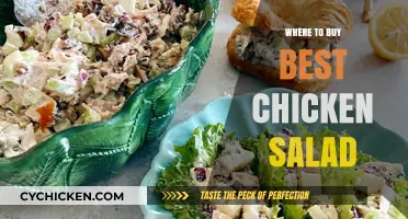 Discover the Top Spots for the Best Chicken Salad Near You