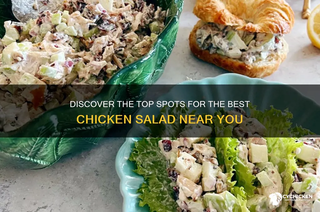 where to buy best chicken salad