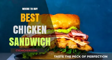 Top Spots to Find the Ultimate Chicken Sandwich Near You