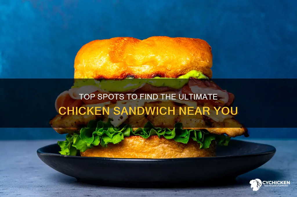 where to buy best chicken sandwich