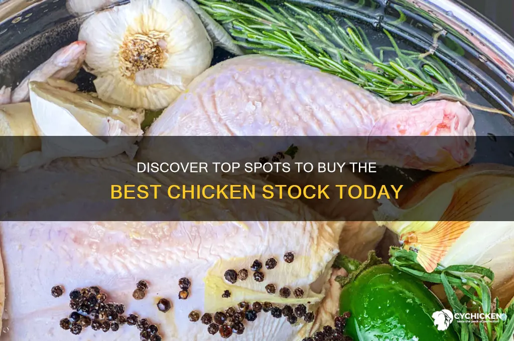 where to buy best chicken stock