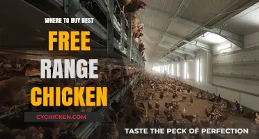 Discover Top Sources for the Best Free Range Chicken