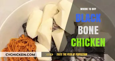 Discover the Best Places to Buy Black Bone Chicken Today