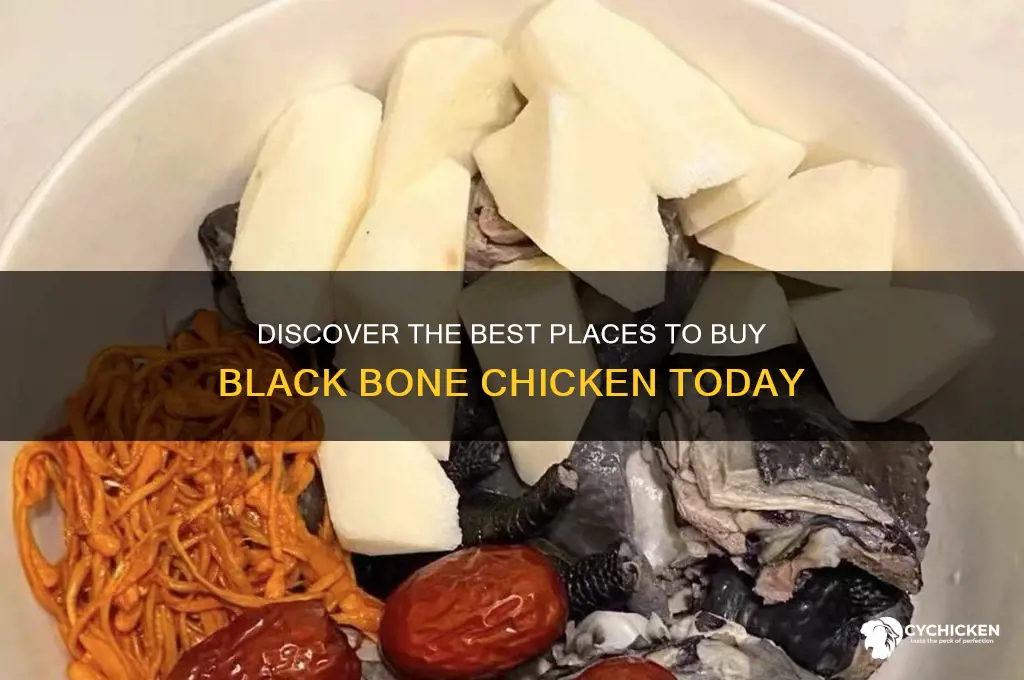 where to buy black bone chicken