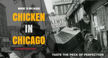 Discover Chicago's Best Sources for Fresh Black Chicken Today