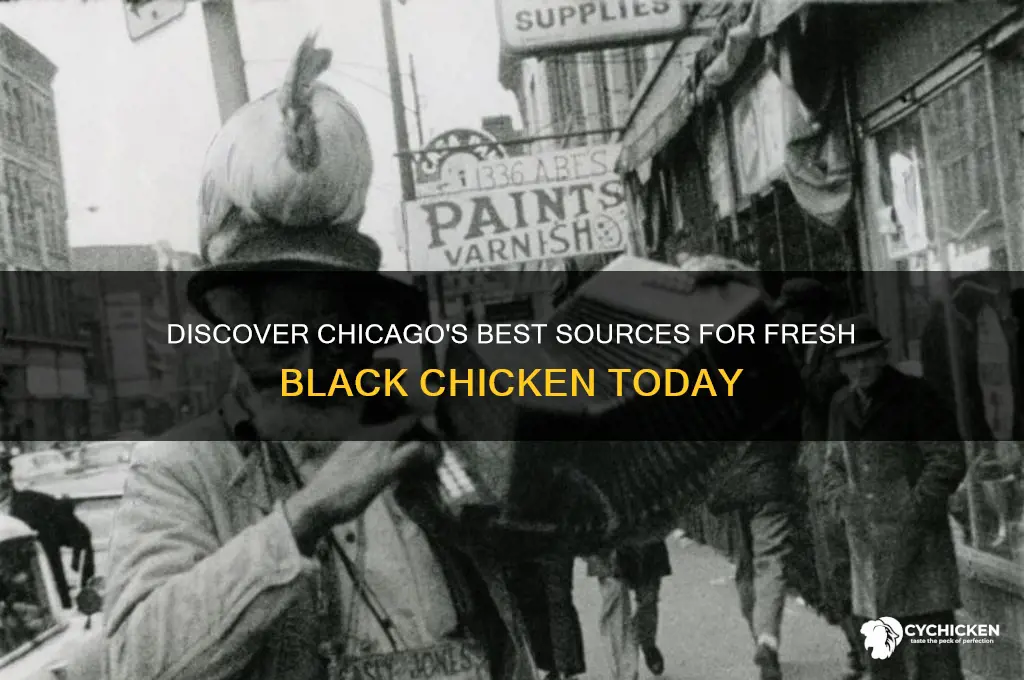 where to buy black chicken in chicago