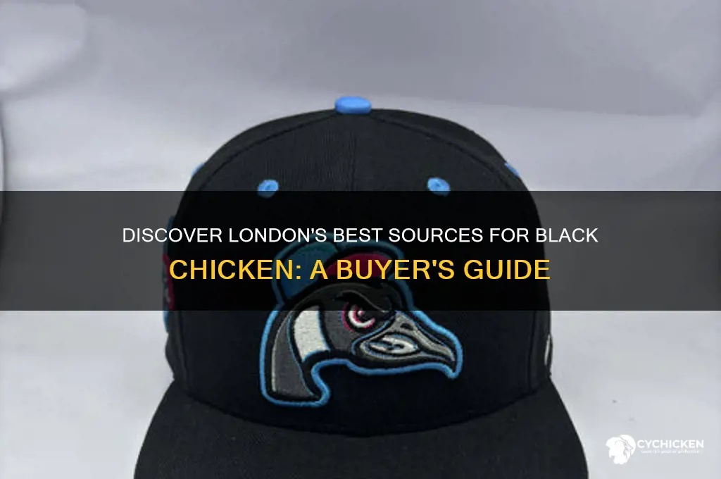where to buy black chicken in london