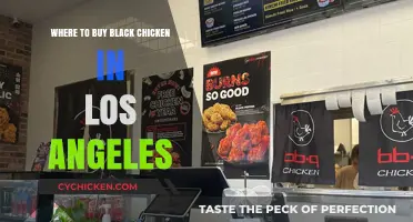 Where to Find Black Chicken in Los Angeles: Top Sources