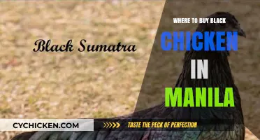 Discover Manila's Best Sources for Fresh Black Chicken Today