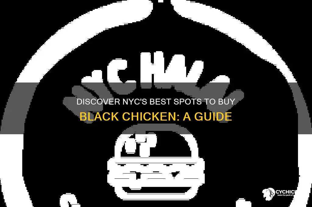 where to buy black chicken in nyc