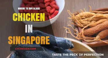 Discover Singapore's Best Sources for Fresh Black Chicken Today