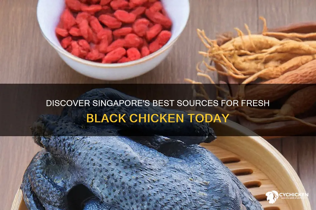 where to buy black chicken in singapore