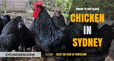 Sydney's Best Spots to Buy Fresh Black Chicken: A Guide