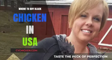 Discover Top Sources for Black Chicken in the USA Today