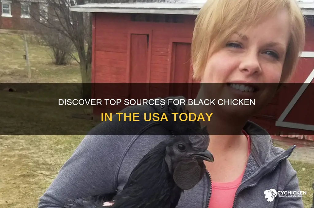 where to buy black chicken in usa