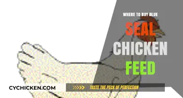 Best Places to Purchase Blue Seal Chicken Feed for Your Flock