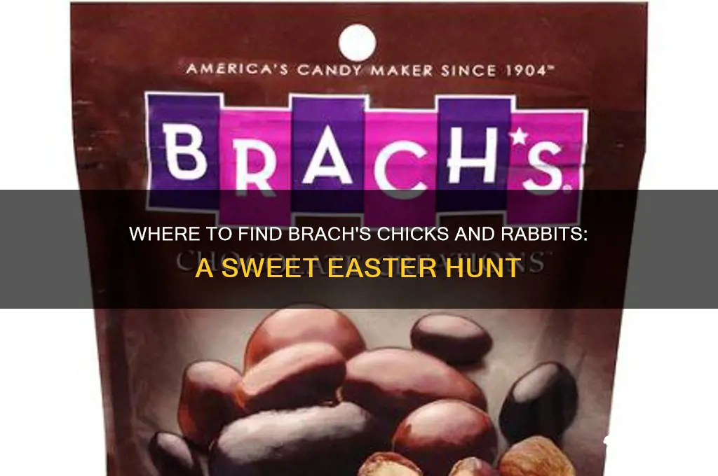 where to buy brach