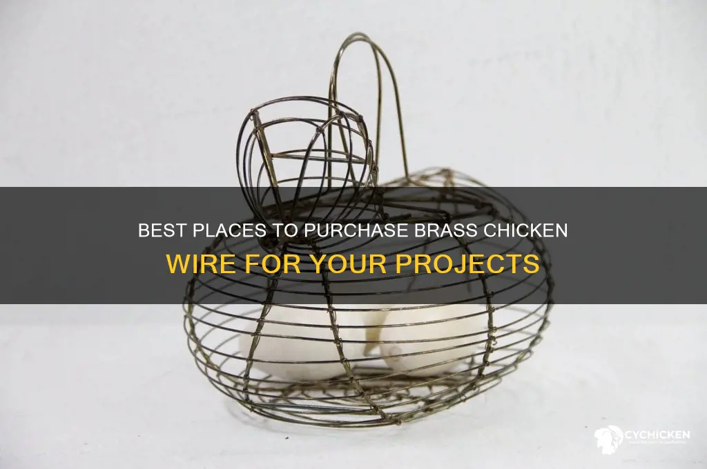 where to buy brass chicken wire