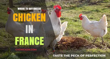 Discover Authentic Bresse Chicken: Top French Sources for Poultry Perfection