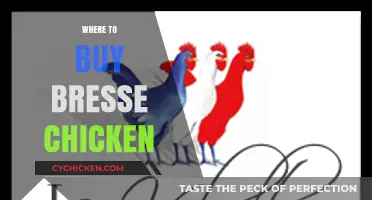 Where to Buy Authentic Bresse Chicken: Top Retailers and Tips