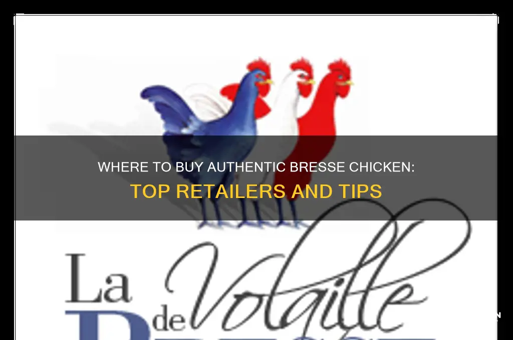 where to buy bresse chicken