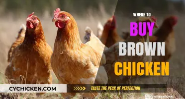 Best Places to Purchase Brown Chicken: A Comprehensive Guide