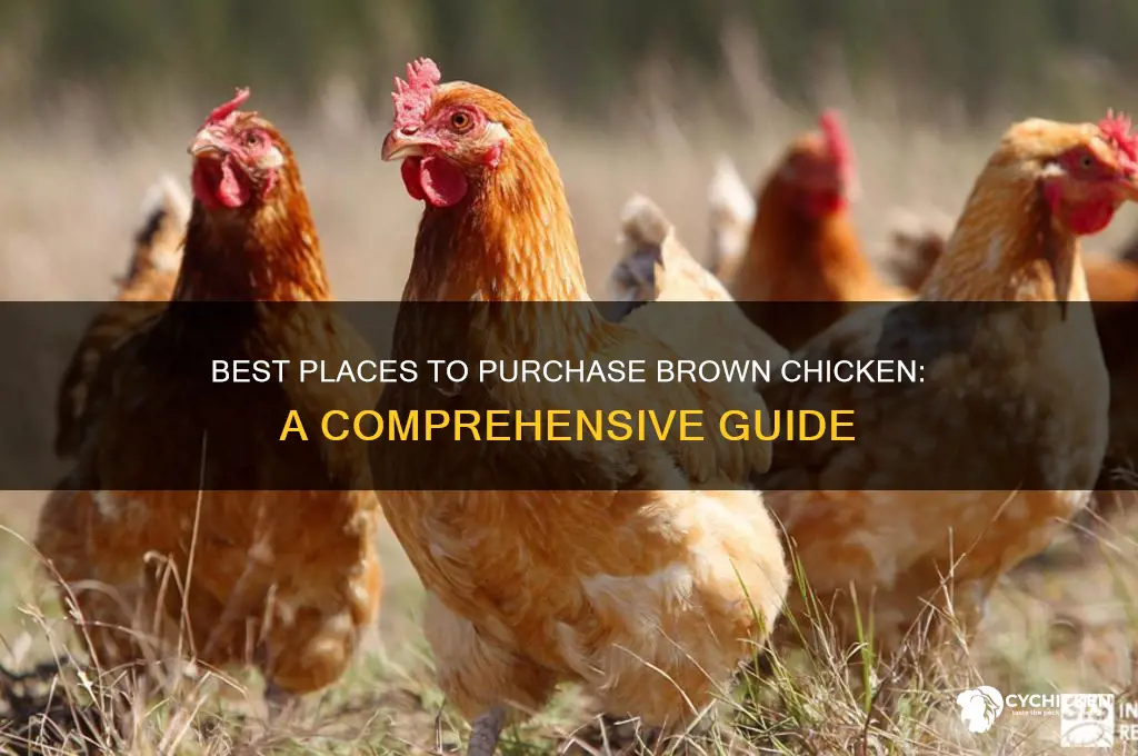 where to buy brown chicken