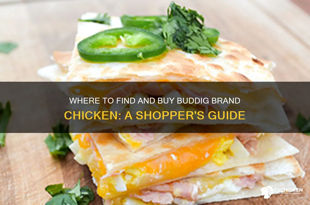 where to buy buddig brand chicken