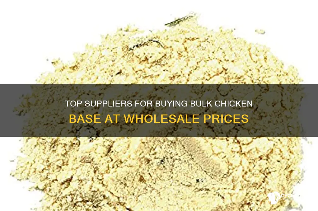 where to buy bulk chicken base
